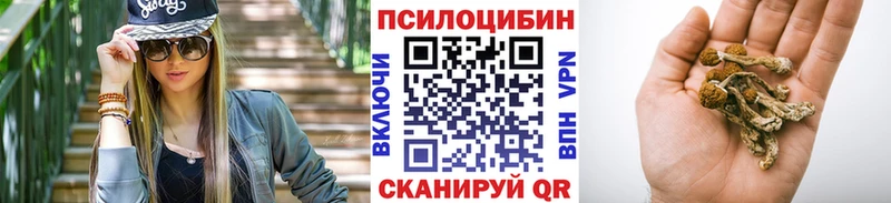 Галлюциногенные грибы прущие грибы  Камызяк 